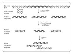 Methods and compositions for multiplex PCR