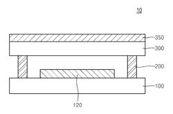 Polarizer and organic light-emitting display device including the same