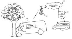 Detecting a transport emergency event and directly enabling emergency services