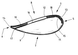 Rotor blade with drainage bore hole