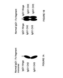 Immunoglobulin constant region FC receptor binding agents