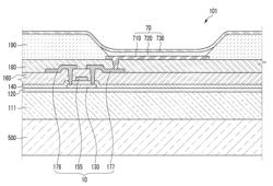 Thin film transistor and display device using the same and method for manufacturing the same