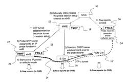 Technique for Controlling and Handling Probe Tunnel Set Up