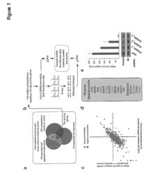 SERINE BIOSYNTHESIS PATHWAY INHIBITION FOR TREATMENT OF CANCER