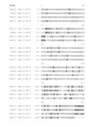 FAD2 PERFORMANCE LOCI AND CORRESPONDING TARGET SITE SPECIFIC BINDING PROTEINS CAPABLE OF INDUCING TARGETED BREAKS