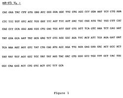 Method for screening for an anti-CD4 antibody suitable for use in immunotherapy