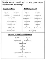 Strategies for high throughput identification and detection of polymorphisms