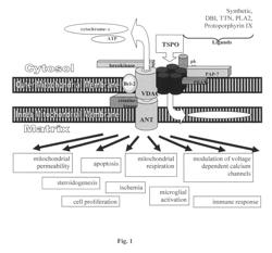 Compositions, articles and methods comprising TSPO ligands for preventing or reducing tobacco-associated damage