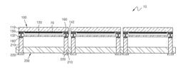 Organic light emitting diode lighting apparatus