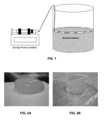 Three-dimensional bioprinting of biosynthetic cellulose (BC) implants and scaffolds for tissue engineering