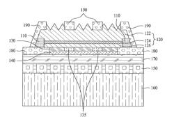 Light emitting diode, and back light unit including the same