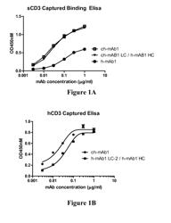 CD3-Binding Molecules Capable of Binding to Human and Non-Human CD3