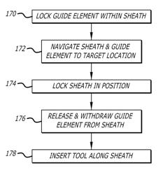 Endoscope structures and techniques for navigating to a target in branched structure