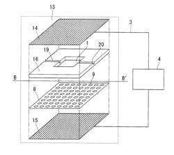 Cell fusion chamber, cell fusion device, and method for cell fusion using the same