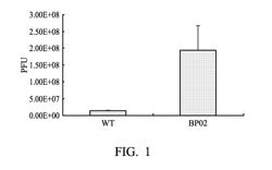 Peptide for transmigration across blood brain barrier and delivery systems comprising the same