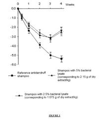 NOVEL USEFUL ACTIVE AGENT FOR PREVENTING AND/OR TREATING DANDRUFF CONDITIONS OF THE SCALP