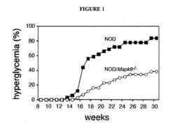 Therapeutic Methods For Type I Diabetes