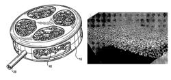 Therapeutic hybrid implantable devices