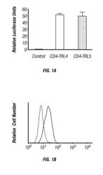 Toll-like receptor 5 ligands and methods of use