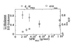 High elastic modulus polymer electrolytes suitable for preventing thermal runaway in lithium batteries