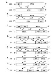 Growth hormone polypeptides and methods of making and using same