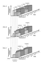 Wireless communication system, terminal apparatus, and communication method