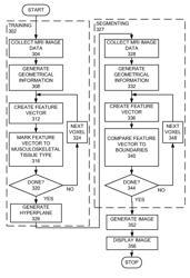 Automatic segmentation of articular cartilage from MRI