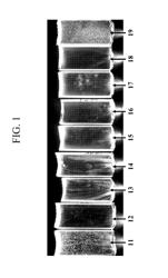 FINING AGENTS FOR SILICATE GLASSES