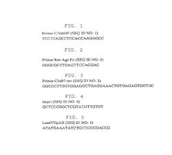 Antibodies to OX-2/CD200 and uses thereof