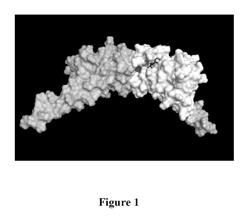 Method of treating cancer using a survivin inhibitor