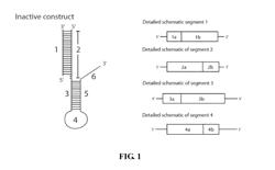 Signal activated molecular delivery