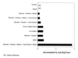 Generation of hydrogen from hydrocarbon bearing materials