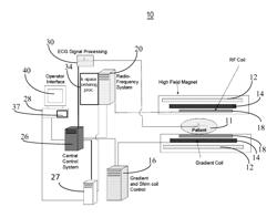 FAT AND IRON QUANTIFICATION USING A MULTI-STEP ADAPTIVE FITTING APPROACH WITH MULTI-ECHO MAGNETIC RESONANCE IMAGING