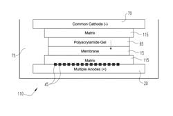 Protein multi-blotting method and device