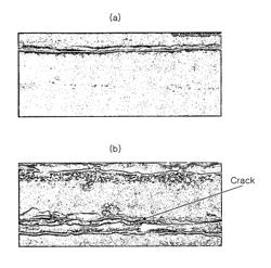 Aluminum coated Steel sheet having excellent oxidation resistance and heat resistance