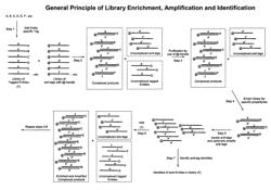 Method for selecting a chemical entity from a tagged library