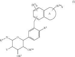 Glycoside derivatives and uses thereof