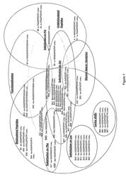 Self-assembling peptides and their use in the formation of hydrogels