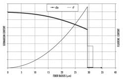 Multimode fiber