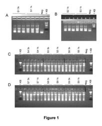 Reagents and methods for detecting HCV