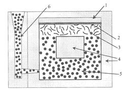 In-situ graphite shape control for iron castings