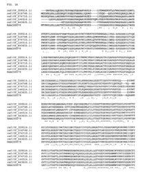 Thermophilic and thermoacidophilic metabolism genes and enzymes from Alicyclobacillus acidocaldarius and related organisms, methods