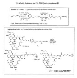 Compositions and methods for enhancing drug delivery across and into ocular tissues