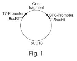 Method and medicament for inhibiting the expression of a given gene