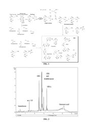 ANTI-GLYCATION AGENT COMPRISING A GARCINIA KOLA EXTRACT OR FRACTION