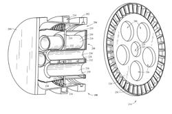 Fuel injector and support plate