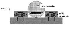 Method and device for the manipulation of microcarriers for an identification purpose