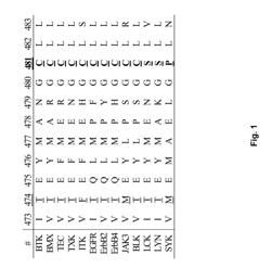 Inhibitors of Bruton's tyrosine kinase