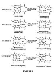 Methods for synthesizing metal mesoporphyrins