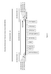 Cotton transgenic event MON 88701 and methods of use thereof